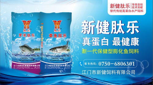 市场波动与产业创新 水产价格分化与功能性茶饮研发趋势