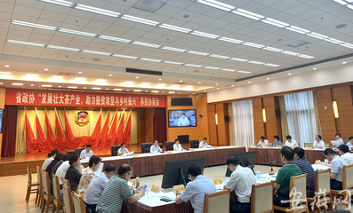 安徽省政协调研茶产业升级 功能性茶饮料成为脱贫攻坚与乡村振兴新引擎