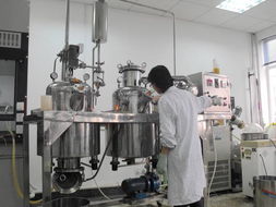 安吉白茶 桑叶复合功能性饮料的研制及其体内外抗氧化特性研究