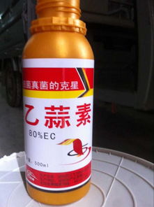 功能性茶饮料的研制与市场前景分析