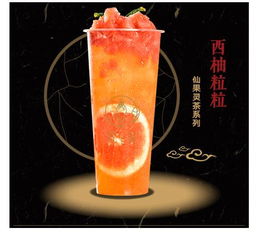 净梵茶投资 以个性与功能引领清新茶饮新潮流